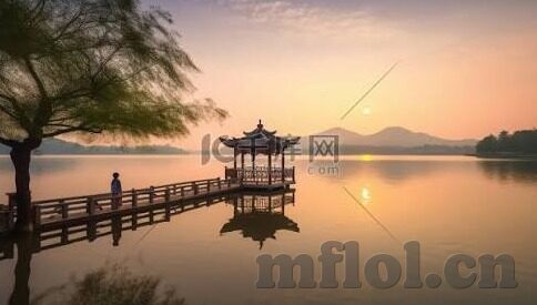 手机免费的成人在视频-免费成人视频，手机时代下的新娱乐趋势